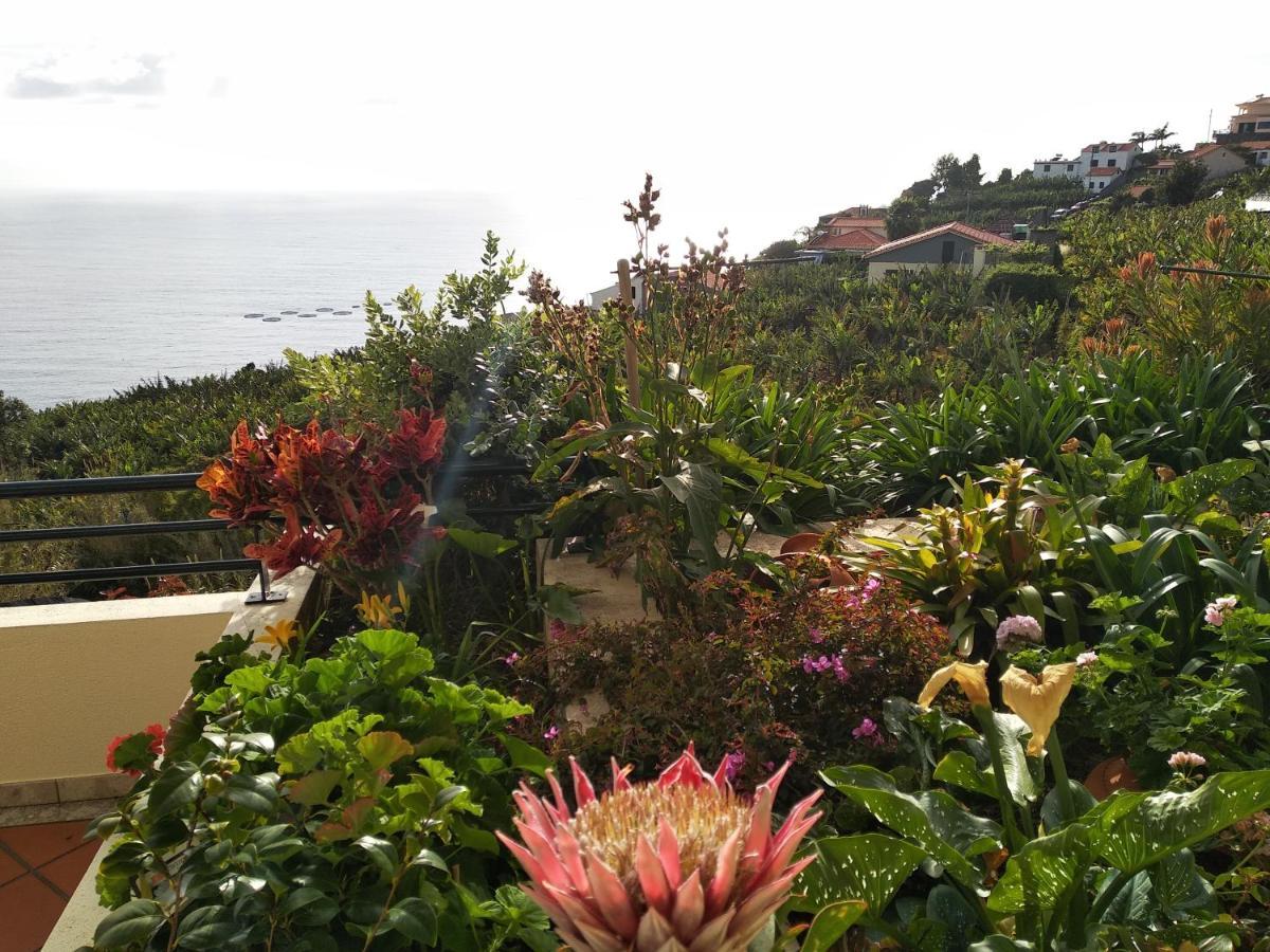 Ferienwohnung Jardim Do Arco "Esmee" Arco da Calheta  Exterior foto