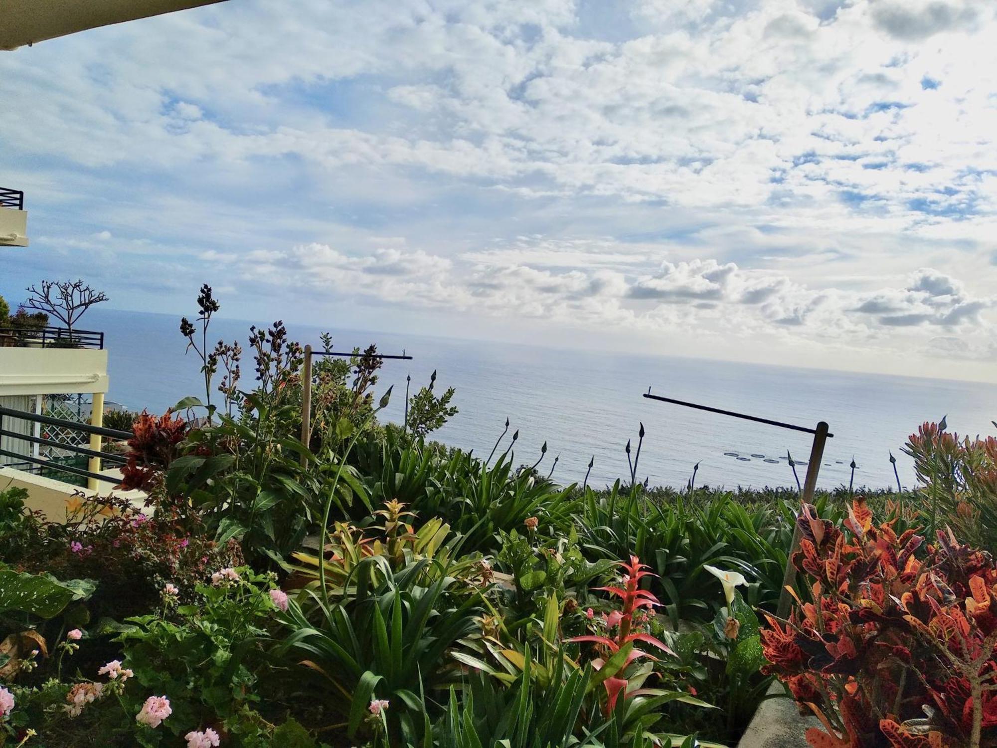 Ferienwohnung Jardim Do Arco "Esmee" Arco da Calheta  Exterior foto