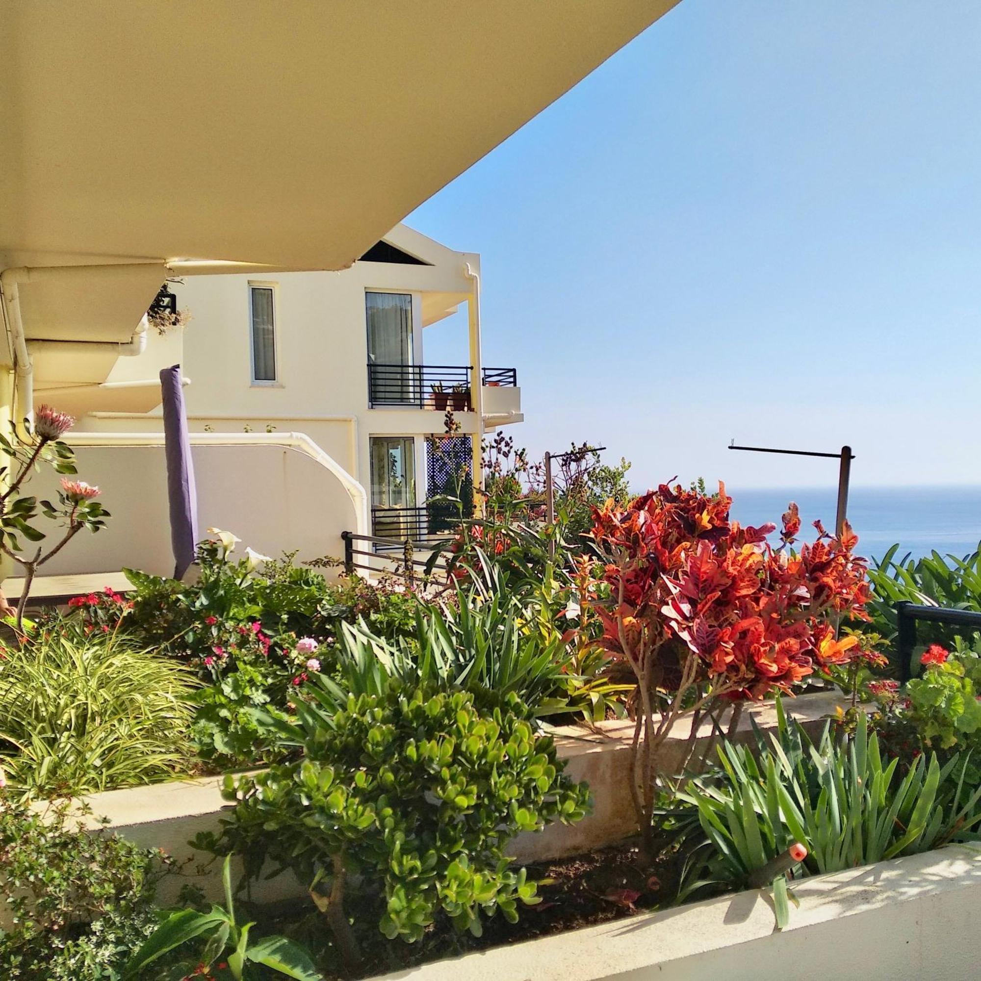 Ferienwohnung Jardim Do Arco "Esmee" Arco da Calheta  Exterior foto